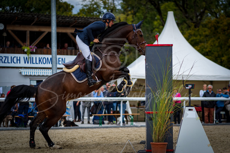 Concours Münsingen-2728
