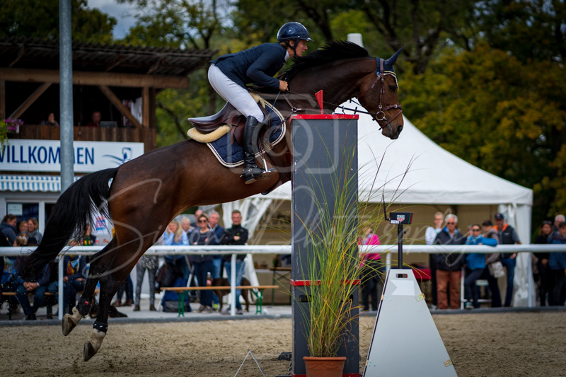 Concours Münsingen-2729