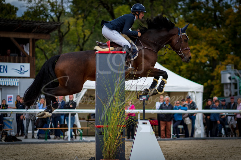 Concours Münsingen-2730