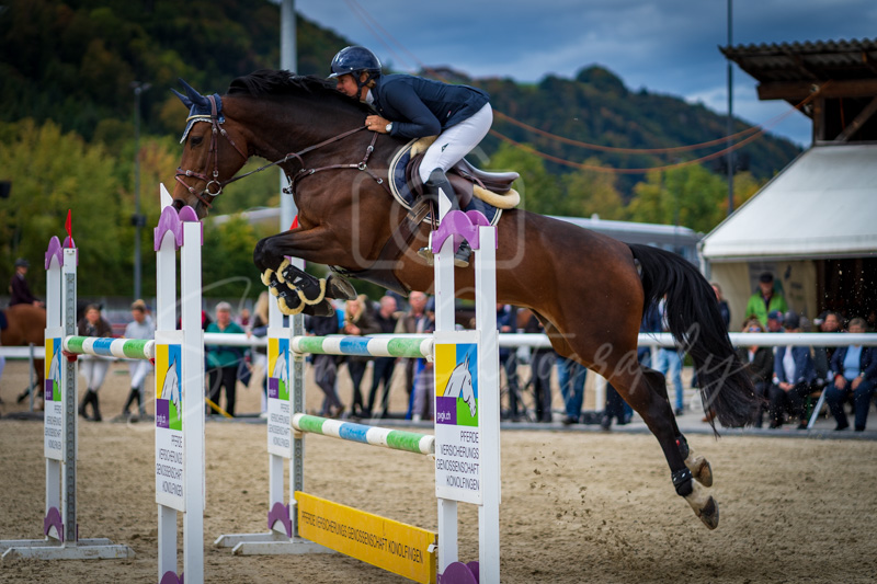 Concours Münsingen-2734