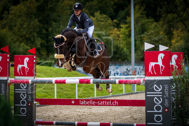 Concours Münsingen-2740