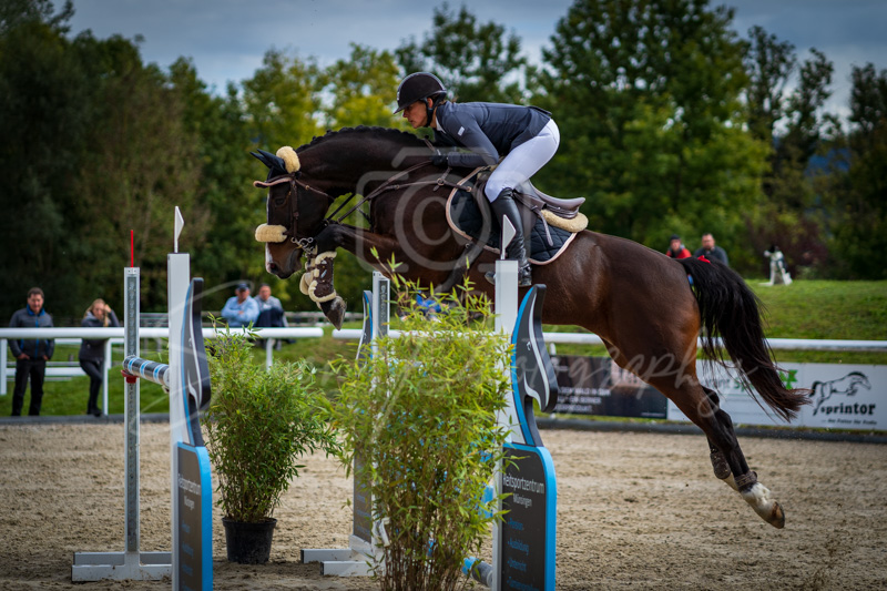 Concours Münsingen-2742