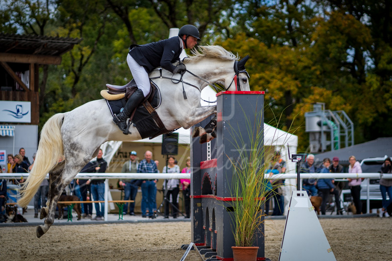 Concours Münsingen-2744