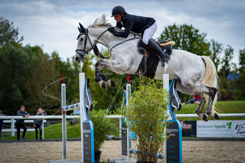 Concours Münsingen-2750