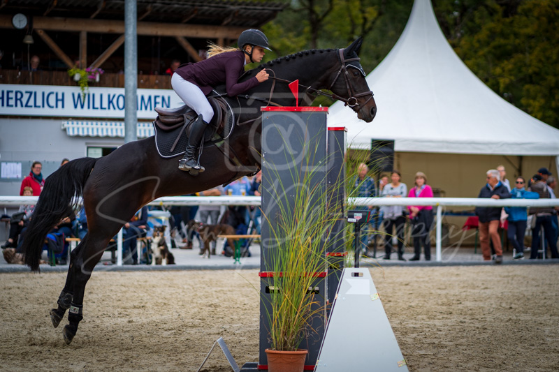 Concours Münsingen-2753