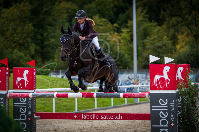Concours Münsingen-2756