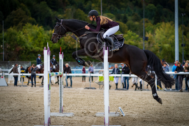 Concours Münsingen-2757