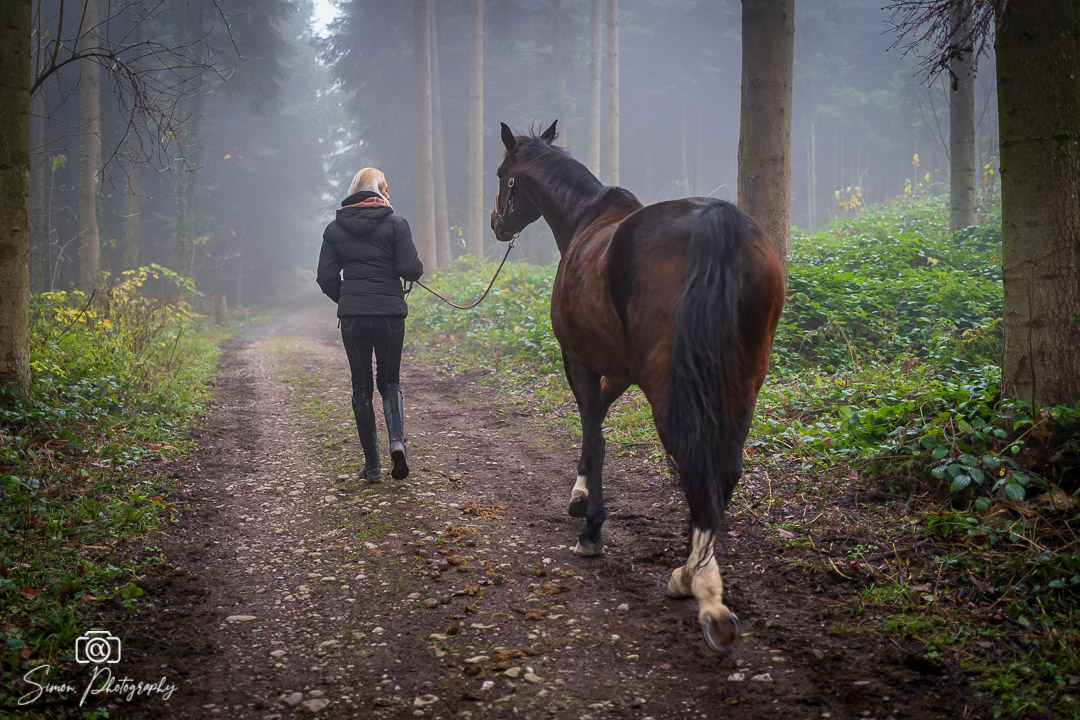 Leo im Wald